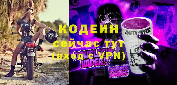 спиды Пересвет