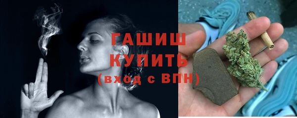 индика Переславль-Залесский