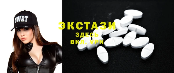 индика Гусиноозёрск