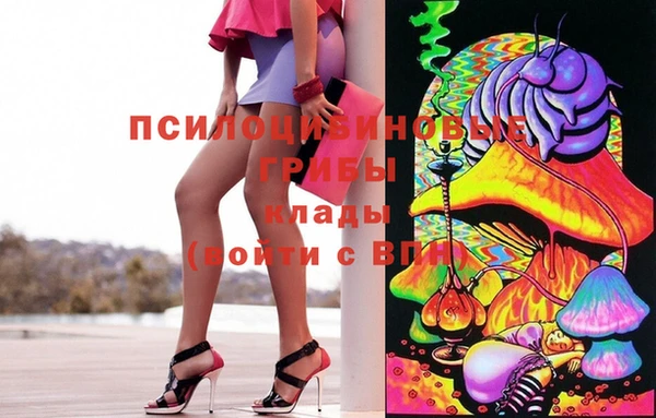 индика Переславль-Залесский