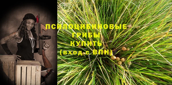 индика Переславль-Залесский