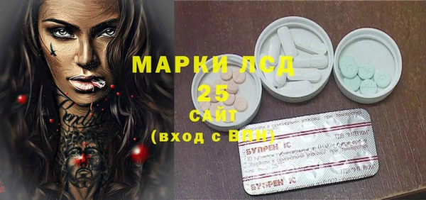 индика Переславль-Залесский
