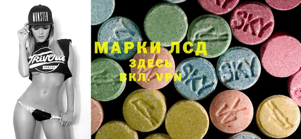 spice Пестово