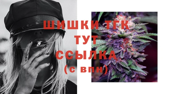 спиды Пересвет