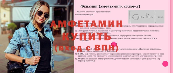 спиды Пересвет