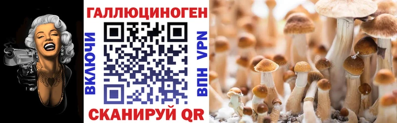 Галлюциногенные грибы мицелий Артёмовский